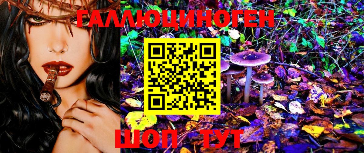 Псилоцибиновые грибы Psilocybine cubensis Михайловка